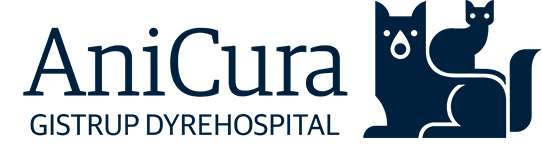 AniCura Gistrup Dyrehospital logo