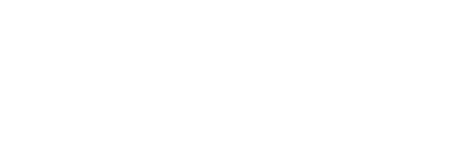 AniCura Rynkeby Dyreklinik Nyborg logo