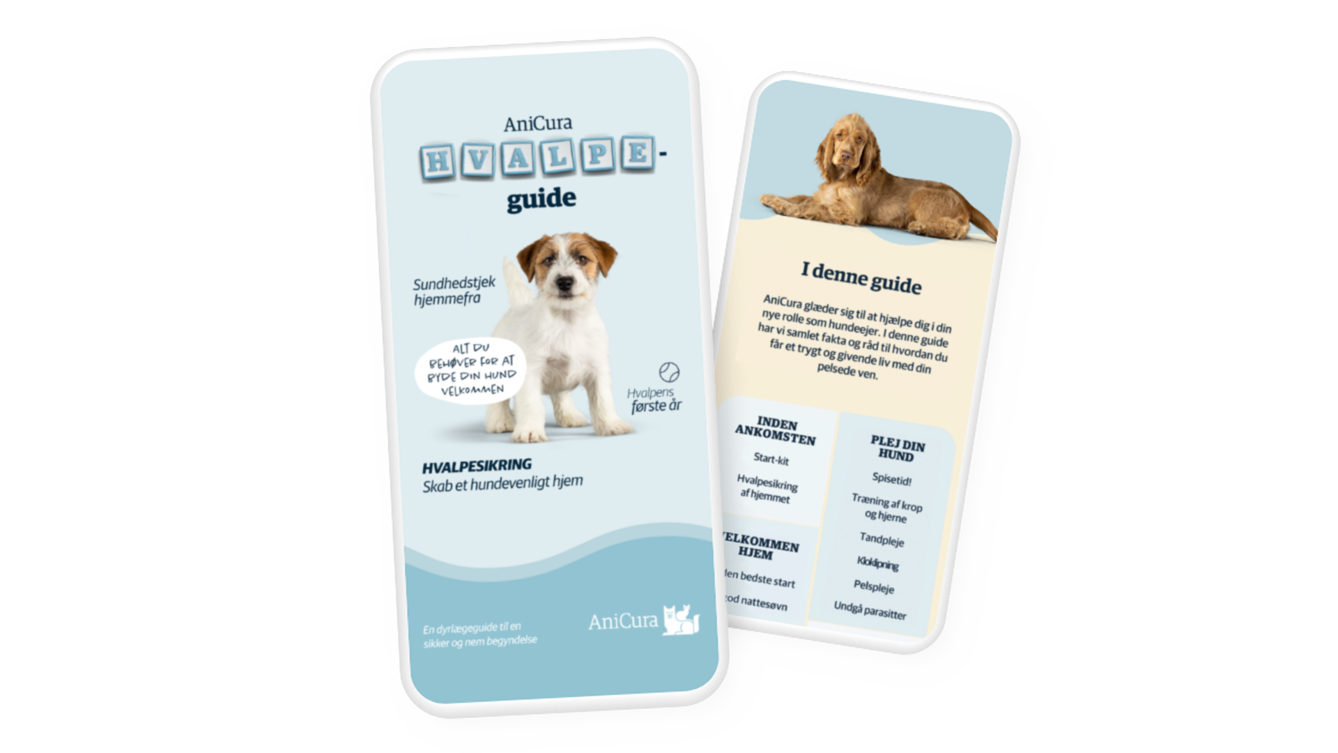 Puppy Care Guide (3).png